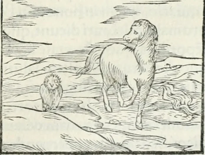 An illustration from Hieroglyphica, siue, De sacris Aegyptiorum literis commentarii, Ioannis Pierii Valeriani Bolzanii Bellunensis, 1556, leaf 364