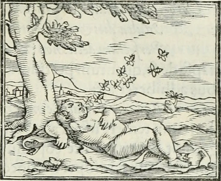 An illustration from Hieroglyphica, siue, De sacris Aegyptiorum literis commentarii, Ioannis Pierii Valeriani Bolzanii Bellunensis, 1556, leaf 376