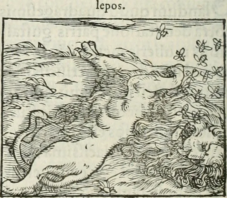 An illustration from Hieroglyphica, siue, De sacris Aegyptiorum literis commentarii, Ioannis Pierii Valeriani Bolzanii Bellunensis, 1556, leaf 379