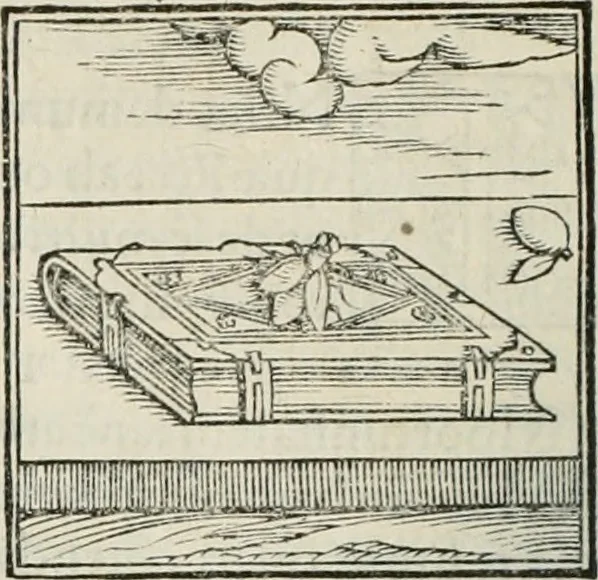 An illustration from Hieroglyphica, siue, De sacris Aegyptiorum literis commentarii, Ioannis Pierii Valeriani Bolzanii Bellunensis, 1556, leaf 387
