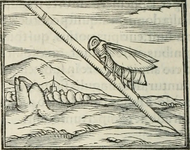 An illustration from Hieroglyphica, siue, De sacris Aegyptiorum literis commentarii, Ioannis Pierii Valeriani Bolzanii Bellunensis, 1556, leaf 389