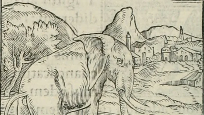 An illustration from Hieroglyphica, siue, De sacris Aegyptiorum literis commentarii, Ioannis Pierii Valeriani Bolzanii Bellunensis, 1556, leaf 39