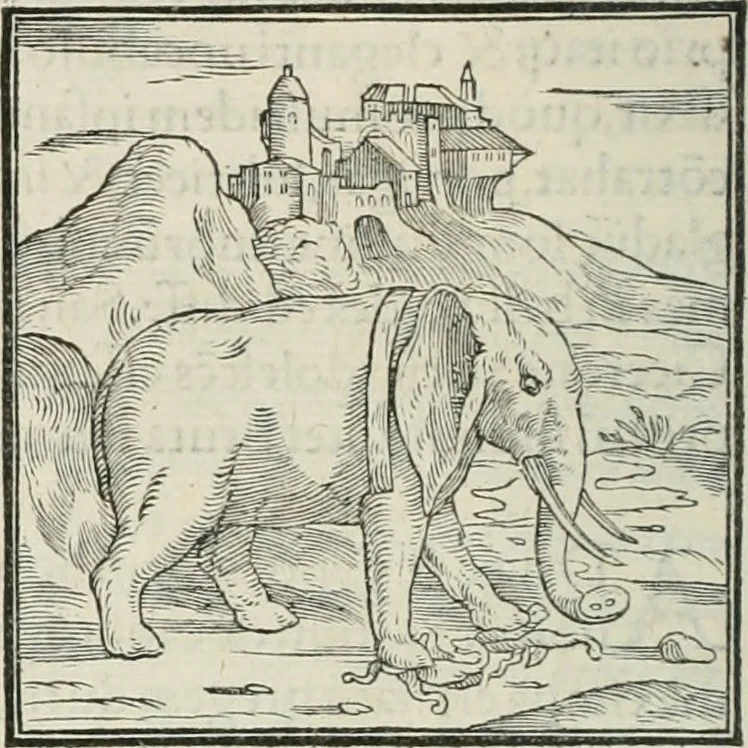 An illustration from Hieroglyphica, siue, De sacris Aegyptiorum literis commentarii, Ioannis Pierii Valeriani Bolzanii Bellunensis, 1556, leaf 39