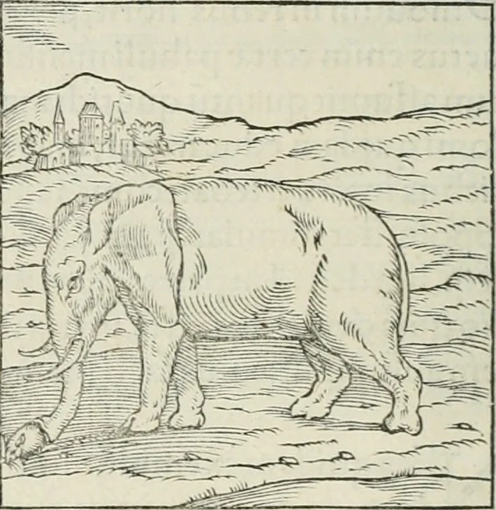 An illustration from Hieroglyphica, siue, De sacris Aegyptiorum literis commentarii, Ioannis Pierii Valeriani Bolzanii Bellunensis, 1556, leaf 41