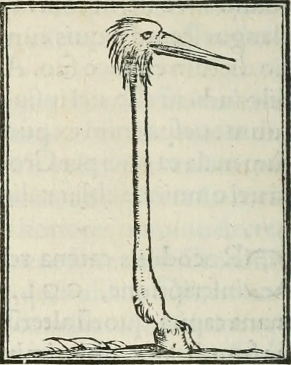 An illustration from Hieroglyphica, siue, De sacris Aegyptiorum literis commentarii, Ioannis Pierii Valeriani Bolzanii Bellunensis, 1556, leaf 421
