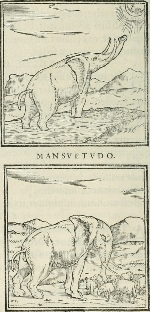 An illustration from Hieroglyphica, siue, De sacris Aegyptiorum literis commentarii, Ioannis Pierii Valeriani Bolzanii Bellunensis, 1556, leaf 43