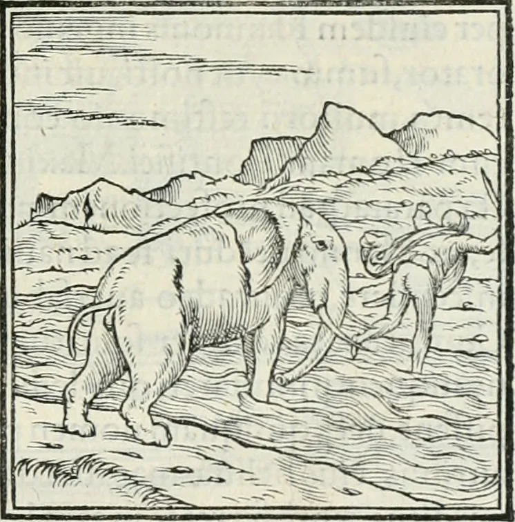 An illustration from Hieroglyphica, siue, De sacris Aegyptiorum literis commentarii, Ioannis Pierii Valeriani Bolzanii Bellunensis, 1556, leaf 44