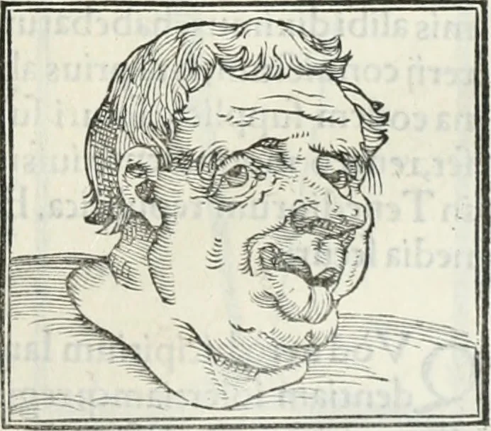 An illustration from Hieroglyphica, siue, De sacris Aegyptiorum literis commentarii, Ioannis Pierii Valeriani Bolzanii Bellunensis, 1556, leaf 458