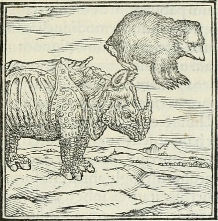 An illustration from Hieroglyphica, siue, De sacris Aegyptiorum literis commentarii, Ioannis Pierii Valeriani Bolzanii Bellunensis, 1556, leaf 46