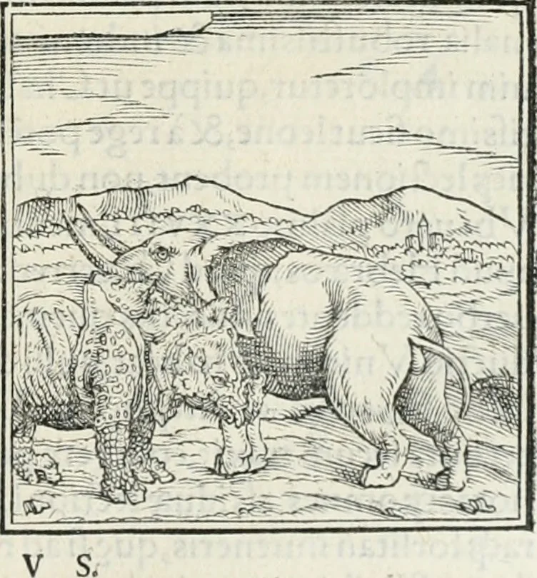 An illustration from Hieroglyphica, siue, De sacris Aegyptiorum literis commentarii, Ioannis Pierii Valeriani Bolzanii Bellunensis, 1556, leaf 46