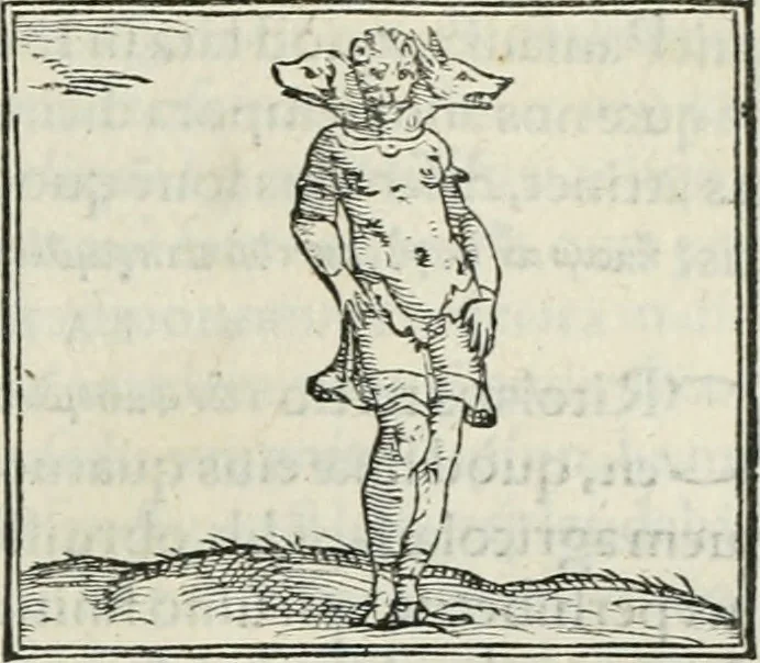 An illustration from Hieroglyphica, siue, De sacris Aegyptiorum literis commentarii, Ioannis Pierii Valeriani Bolzanii Bellunensis, 1556, leaf 462