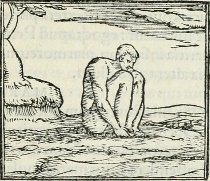 An illustration from Hieroglyphica, siue, De sacris Aegyptiorum literis commentarii, Ioannis Pierii Valeriani Bolzanii Bellunensis, 1556, leaf 464