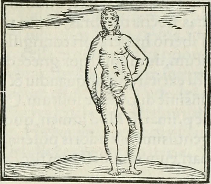 An illustration from Hieroglyphica, siue, De sacris Aegyptiorum literis commentarii, Ioannis Pierii Valeriani Bolzanii Bellunensis, 1556, leaf 472