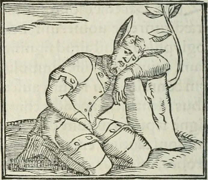 An illustration from Hieroglyphica, siue, De sacris Aegyptiorum literis commentarii, Ioannis Pierii Valeriani Bolzanii Bellunensis, 1556, leaf 479