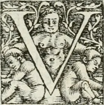 An illustration from Hieroglyphica, siue, De sacris Aegyptiorum literis commentarii, Ioannis Pierii Valeriani Bolzanii Bellunensis, 1556, leaf 487