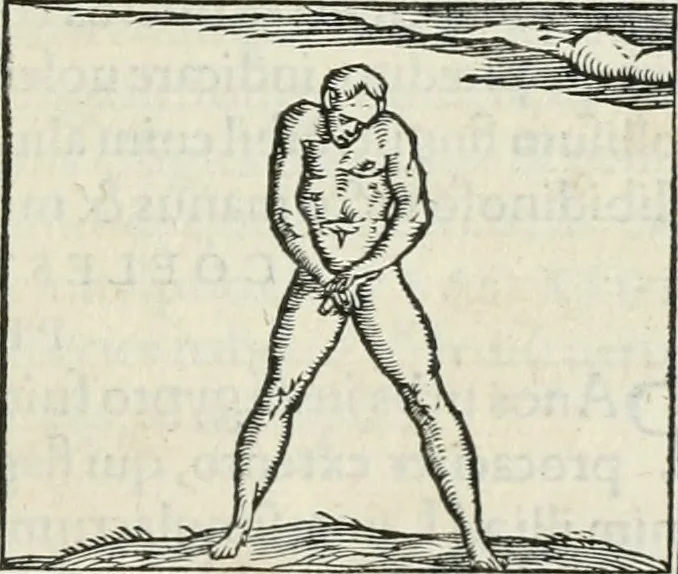 An illustration from Hieroglyphica, siue, De sacris Aegyptiorum literis commentarii, Ioannis Pierii Valeriani Bolzanii Bellunensis, 1556, leaf 498