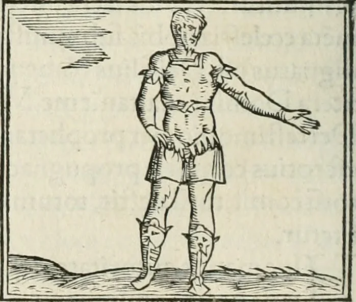 An illustration from Hieroglyphica, siue, De sacris Aegyptiorum literis commentarii, Ioannis Pierii Valeriani Bolzanii Bellunensis, 1556, leaf 507