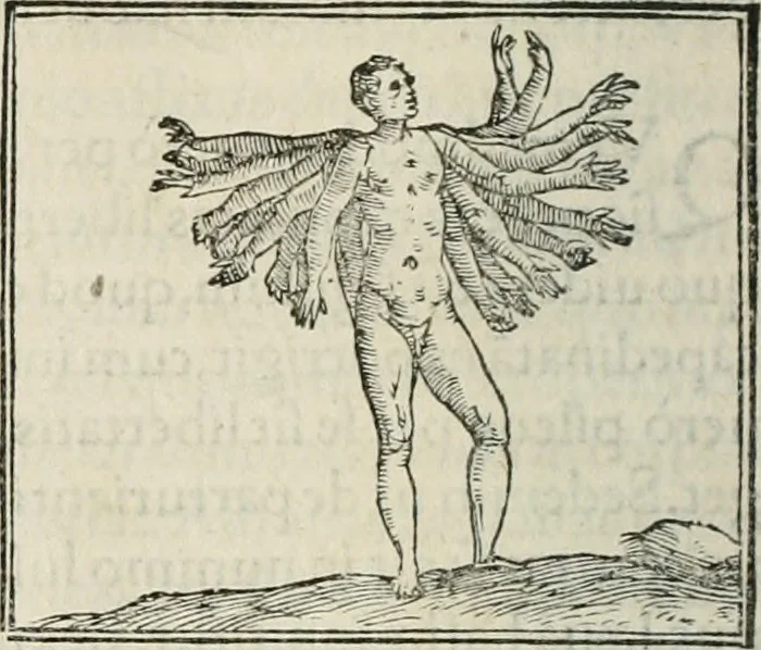 An illustration from Hieroglyphica, siue, De sacris Aegyptiorum literis commentarii, Ioannis Pierii Valeriani Bolzanii Bellunensis, 1556, leaf 509
