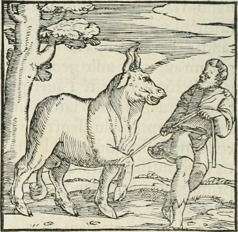 An illustration from Hieroglyphica, siue, De sacris Aegyptiorum literis commentarii, Ioannis Pierii Valeriani Bolzanii Bellunensis, 1556, leaf 51