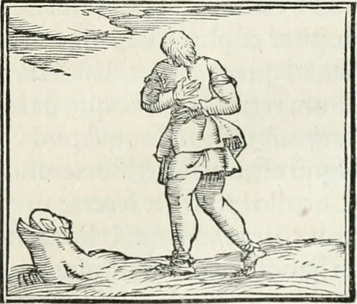 An illustration from Hieroglyphica, siue, De sacris Aegyptiorum literis commentarii, Ioannis Pierii Valeriani Bolzanii Bellunensis, 1556, leaf 510