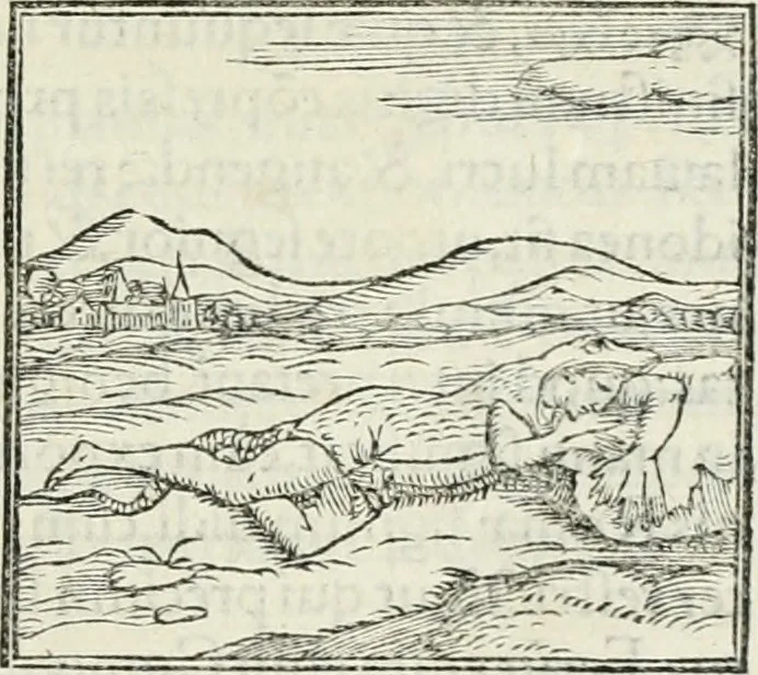 An illustration from Hieroglyphica, siue, De sacris Aegyptiorum literis commentarii, Ioannis Pierii Valeriani Bolzanii Bellunensis, 1556, leaf 514