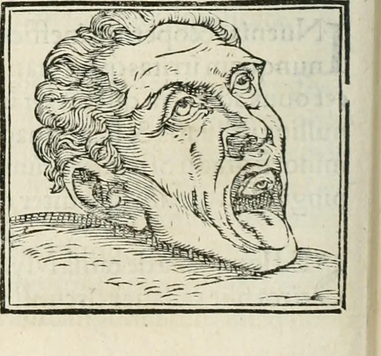 An illustration from Hieroglyphica, siue, De sacris Aegyptiorum literis commentarii, Ioannis Pierii Valeriani Bolzanii Bellunensis, 1556, leaf 515