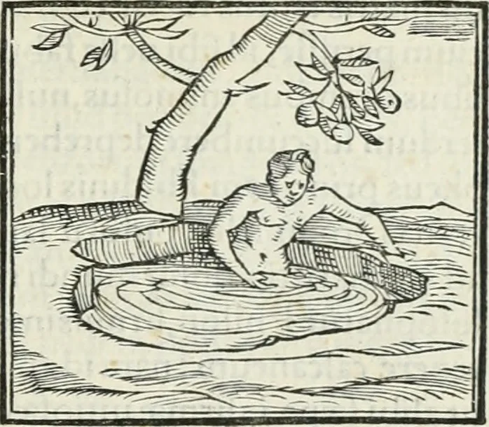 An illustration from Hieroglyphica, siue, De sacris Aegyptiorum literis commentarii, Ioannis Pierii Valeriani Bolzanii Bellunensis, 1556, leaf 518