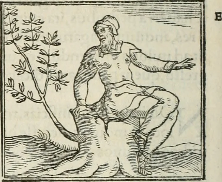 An illustration from Hieroglyphica, siue, De sacris Aegyptiorum literis commentarii, Ioannis Pierii Valeriani Bolzanii Bellunensis, 1556, leaf 521