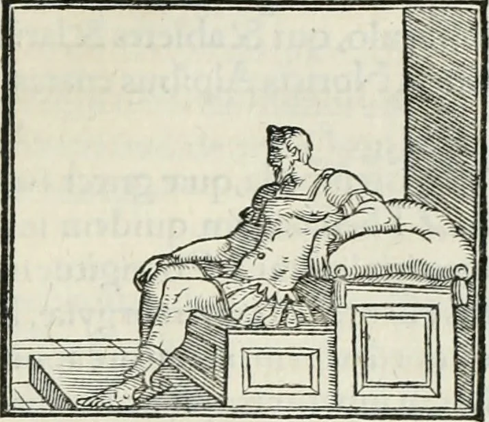 An illustration from Hieroglyphica, siue, De sacris Aegyptiorum literis commentarii, Ioannis Pierii Valeriani Bolzanii Bellunensis, 1556, leaf 534