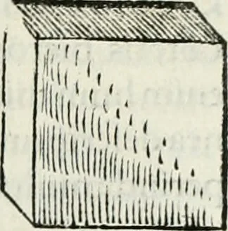An illustration from Hieroglyphica, siue, De sacris Aegyptiorum literis commentarii, Ioannis Pierii Valeriani Bolzanii Bellunensis, 1556, leaf 588