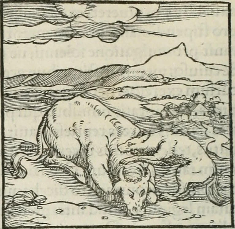 An illustration from Hieroglyphica, siue, De sacris Aegyptiorum literis commentarii, Ioannis Pierii Valeriani Bolzanii Bellunensis, 1556, leaf 59