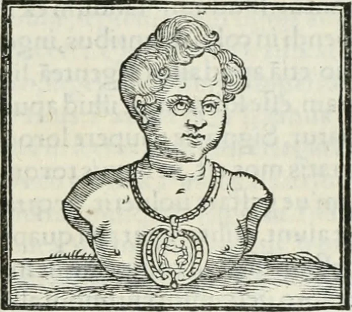 An illustration from Hieroglyphica, siue, De sacris Aegyptiorum literis commentarii, Ioannis Pierii Valeriani Bolzanii Bellunensis, 1556, leaf 606