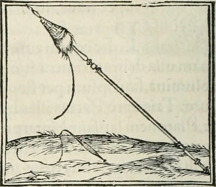 An illustration from Hieroglyphica, siue, De sacris Aegyptiorum literis commentarii, Ioannis Pierii Valeriani Bolzanii Bellunensis, 1556, leaf 717