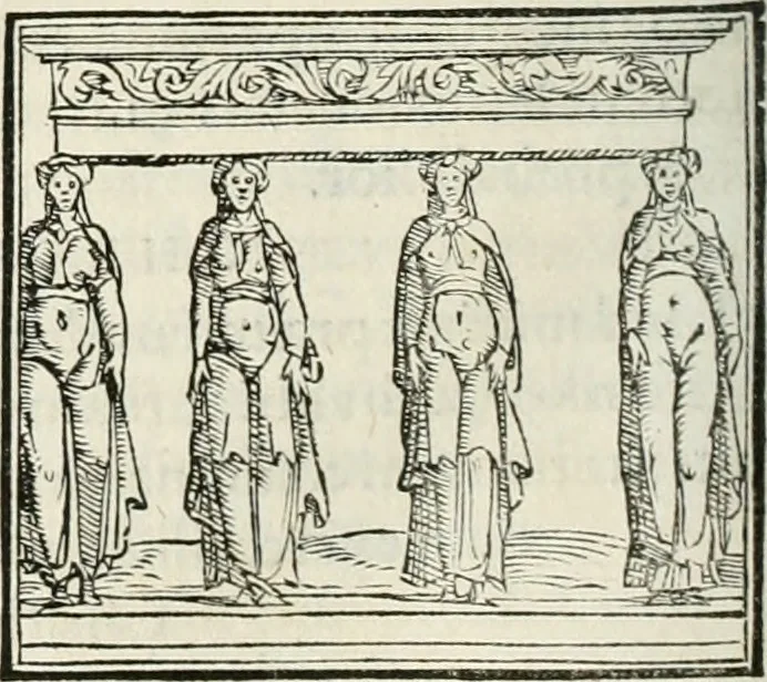 An illustration from Hieroglyphica, siue, De sacris Aegyptiorum literis commentarii, Ioannis Pierii Valeriani Bolzanii Bellunensis, 1556, leaf 737