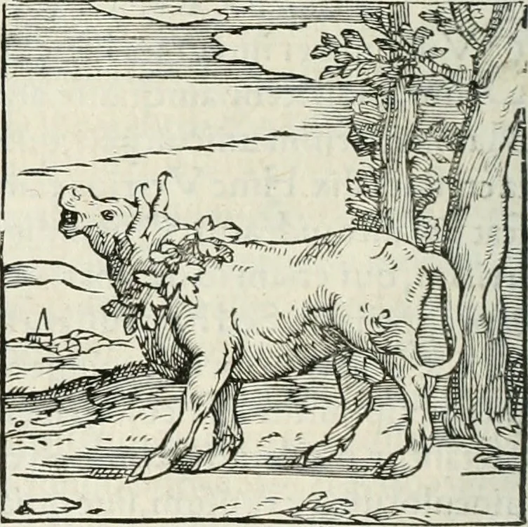An illustration from Hieroglyphica, siue, De sacris Aegyptiorum literis commentarii, Ioannis Pierii Valeriani Bolzanii Bellunensis, 1556, leaf 771