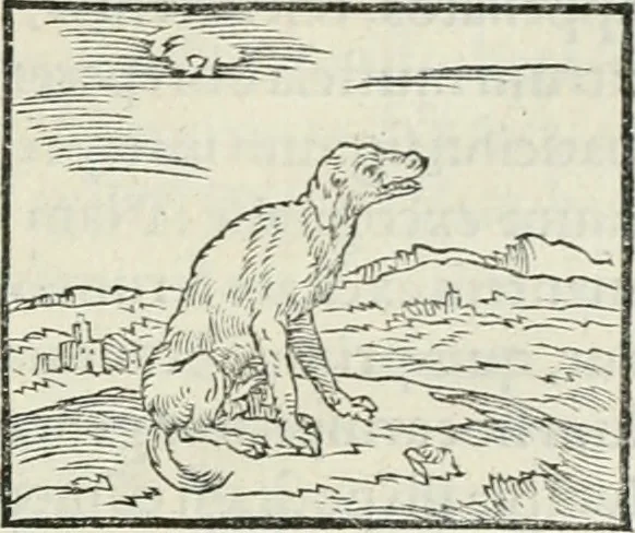 An illustration from Hieroglyphica, siue, De sacris Aegyptiorum literis commentarii, Ioannis Pierii Valeriani Bolzanii Bellunensis, 1556, leaf 82