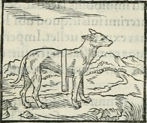 An illustration from Hieroglyphica, siue, De sacris Aegyptiorum literis commentarii, Ioannis Pierii Valeriani Bolzanii Bellunensis, 1556, leaf 88