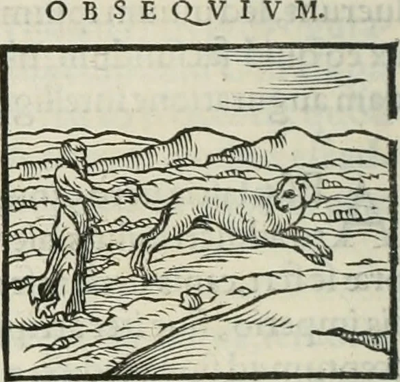 An illustration from Hieroglyphica, siue, De sacris Aegyptiorum literis commentarii, Ioannis Pierii Valeriani Bolzanii Bellunensis, 1556, leaf 89