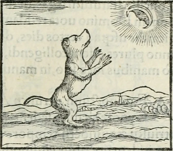 An illustration from Hieroglyphica, siue, De sacris Aegyptiorum literis commentarii, Ioannis Pierii Valeriani Bolzanii Bellunensis, 1556, leaf 96