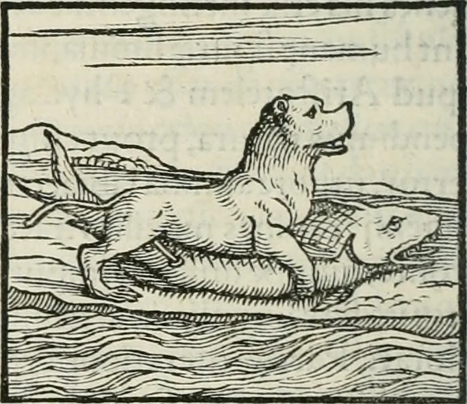 An illustration from Hieroglyphica, siue, De sacris Aegyptiorum literis commentarii, Ioannis Pierii Valeriani Bolzanii Bellunensis, 1556, leaf 99