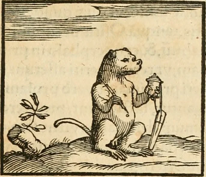 An illustration from Hieroglyphica, sive, De sacris Aegyptiorvm aliarvmqve gentivm literis commentarij, 1575, leaf 102