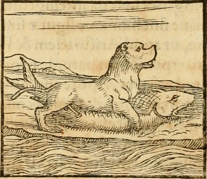 An illustration from Hieroglyphica, sive, De sacris Aegyptiorvm aliarvmqve gentivm literis commentarij, 1575, leaf 103