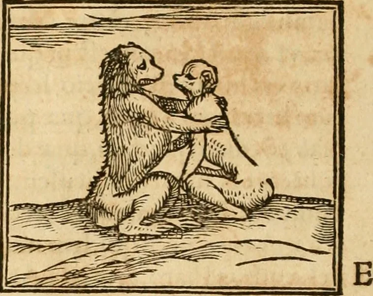 An illustration from Hieroglyphica, sive, De sacris Aegyptiorvm aliarvmqve gentivm literis commentarij, 1575, leaf 107