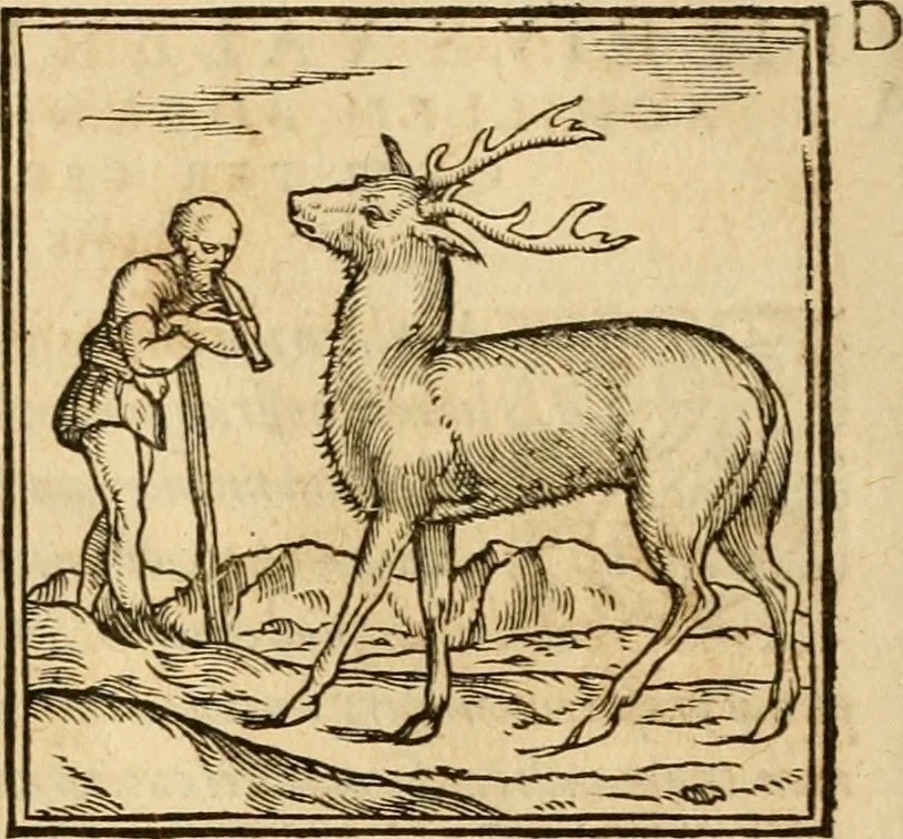 An illustration from Hieroglyphica, sive, De sacris Aegyptiorvm aliarvmqve gentivm literis commentarij, 1575, leaf 111
