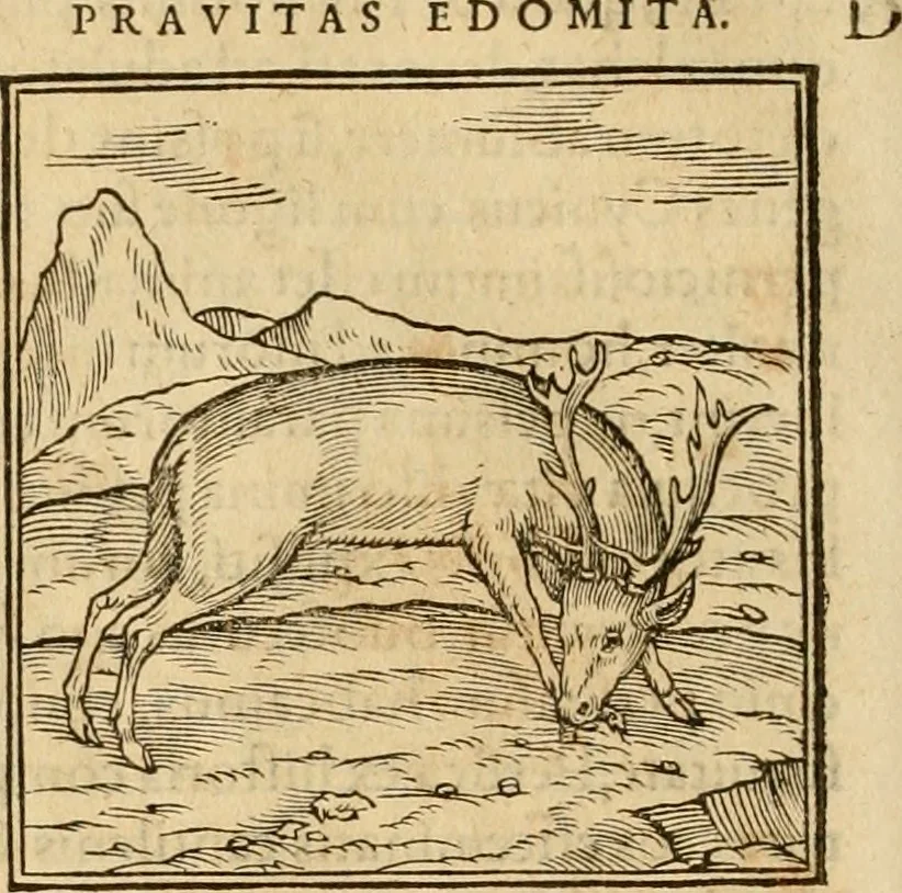An illustration from Hieroglyphica, sive, De sacris Aegyptiorvm aliarvmqve gentivm literis commentarij, 1575, leaf 113