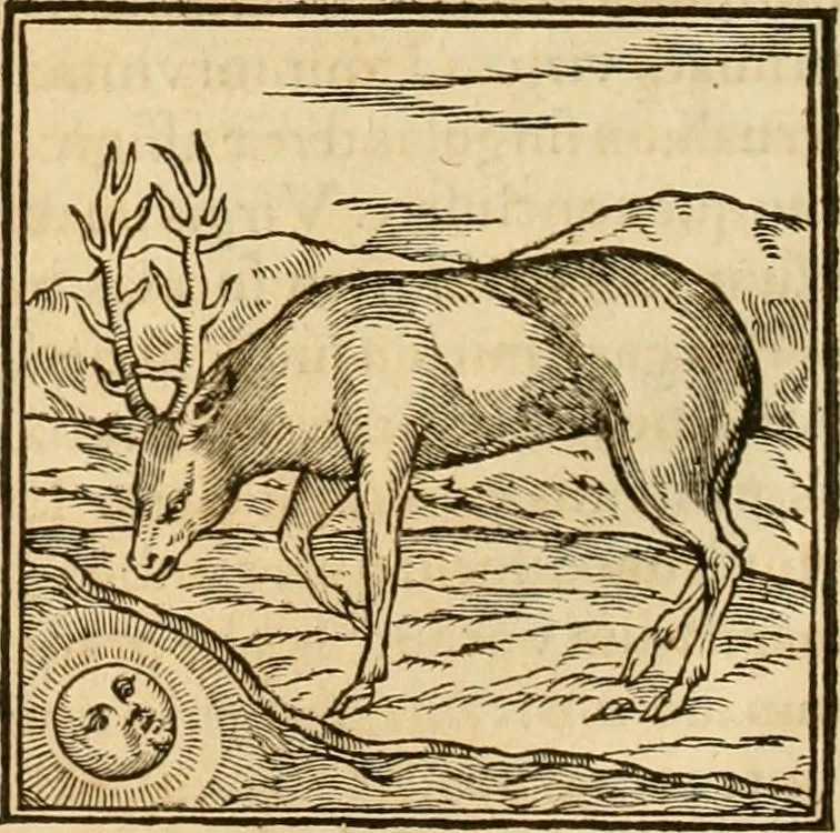 An illustration from Hieroglyphica, sive, De sacris Aegyptiorvm aliarvmqve gentivm literis commentarij, 1575, leaf 115