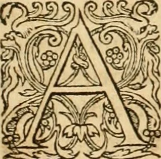 An illustration from Hieroglyphica, sive, De sacris Aegyptiorvm aliarvmqve gentivm literis commentarij, 1575, leaf 127