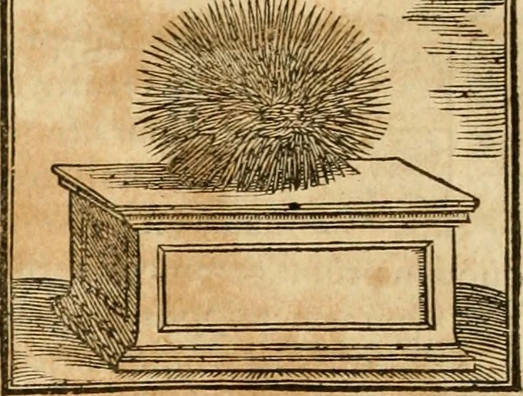 An illustration from Hieroglyphica, sive, De sacris Aegyptiorvm aliarvmqve gentivm literis commentarij, 1575, leaf 133
