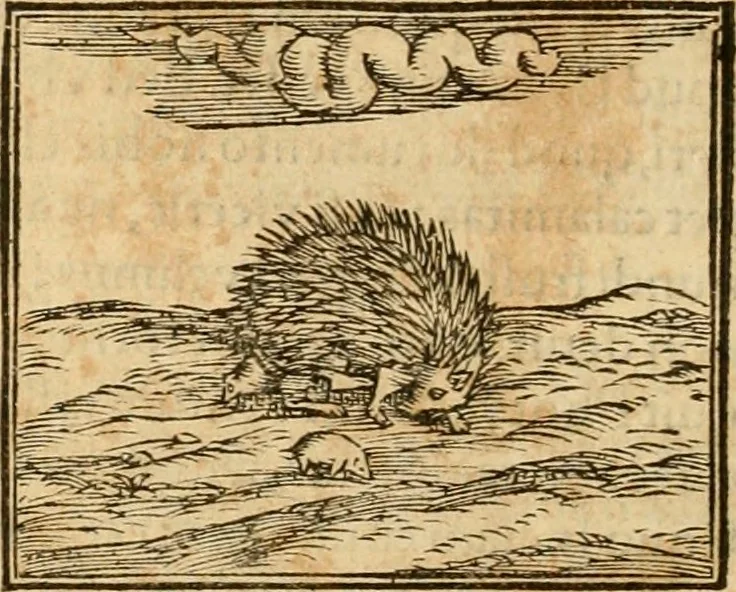 An illustration from Hieroglyphica, sive, De sacris Aegyptiorvm aliarvmqve gentivm literis commentarij, 1575, leaf 133