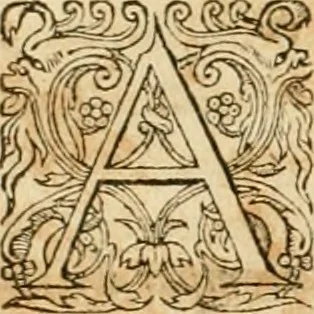 An illustration from Hieroglyphica, sive, De sacris Aegyptiorvm aliarvmqve gentivm literis commentarij, 1575, leaf 135